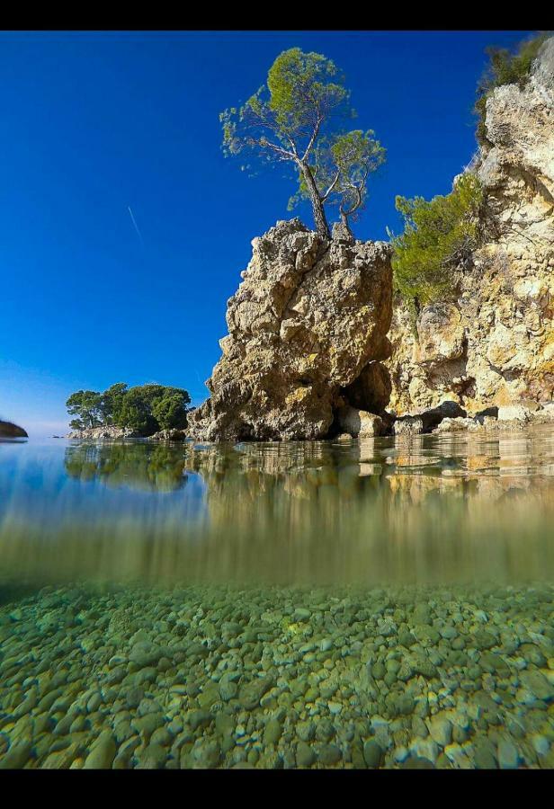 Apartment Davorka Makarska Zewnętrze zdjęcie