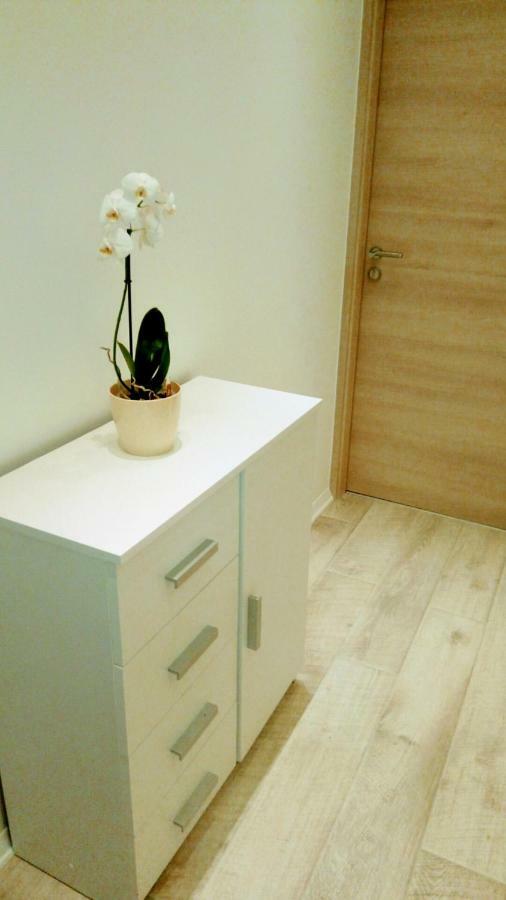 Apartment Davorka Makarska Zewnętrze zdjęcie